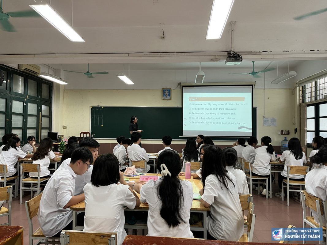 STEM Sinh học: Triển lãm mô hình tế bào