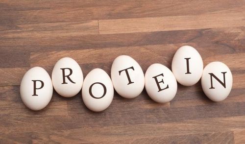 Chuyển hóa protein trong cơ thể giúp tổng hợp protein cần thiết