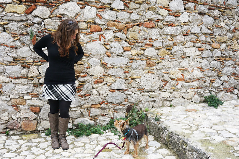 The most (and least) dog-friendly countries in Europe