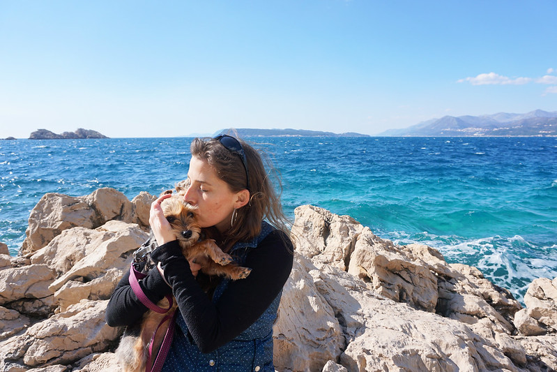 The most (and least) dog-friendly countries in Europe