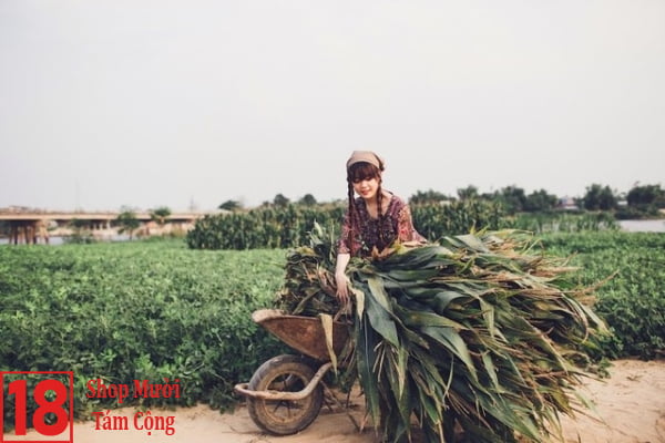 Gái đẹp Quê ở Miền Trung (3)