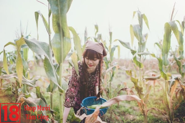 Gái đẹp Quê ở Miền Trung (10)