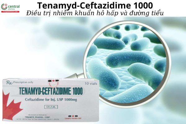 Thông tin thuốc Tenamyd-Ceftazidime 1000