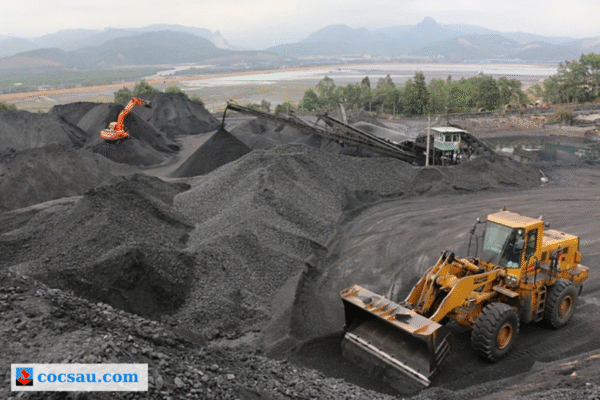 Tổng Quan Về Than Đá Ở Việt Nam: Đặc Điểm, Phân Bố Và Trữ Lượng Hiện Nay