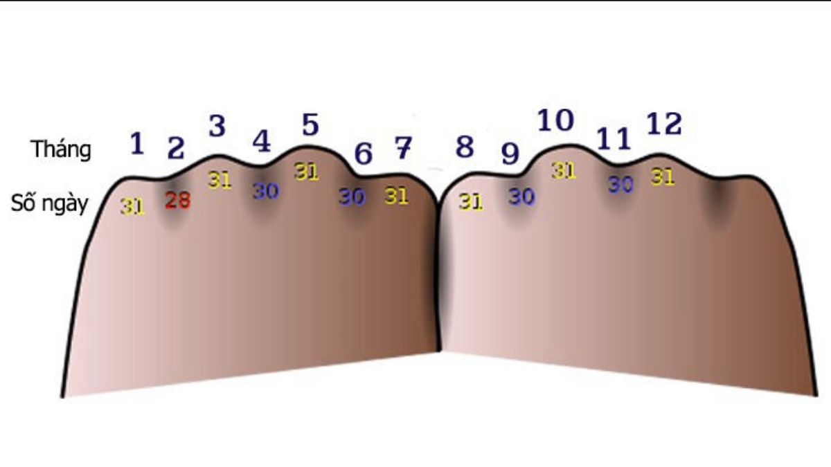 Mách bạn mẹo tính tháng trong năm