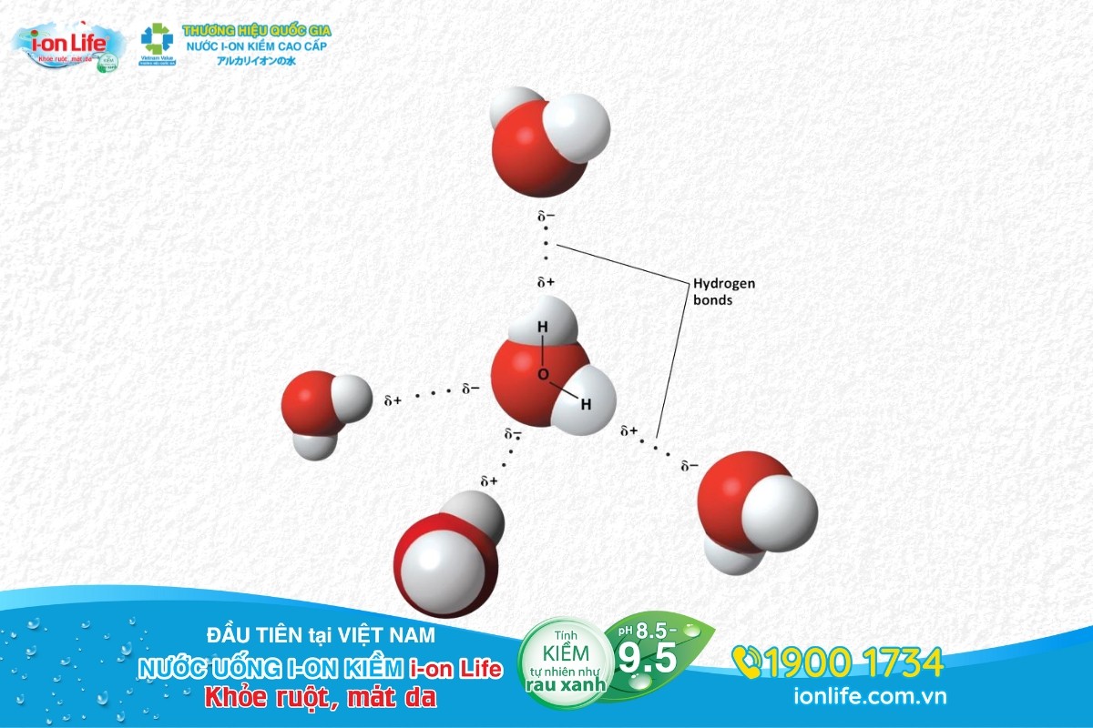 Các phân tử nước liên kết với nhau qua liên kết Hydro