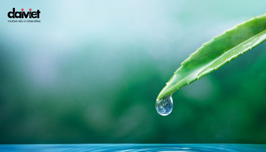 Tác dụng của nước từ trường đối với sức khỏe