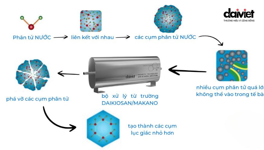 Lõi xử lý nước từ trường của Đại Việt