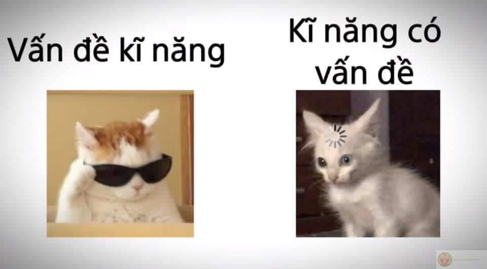 Vấn đề kỹ năng meme là gì