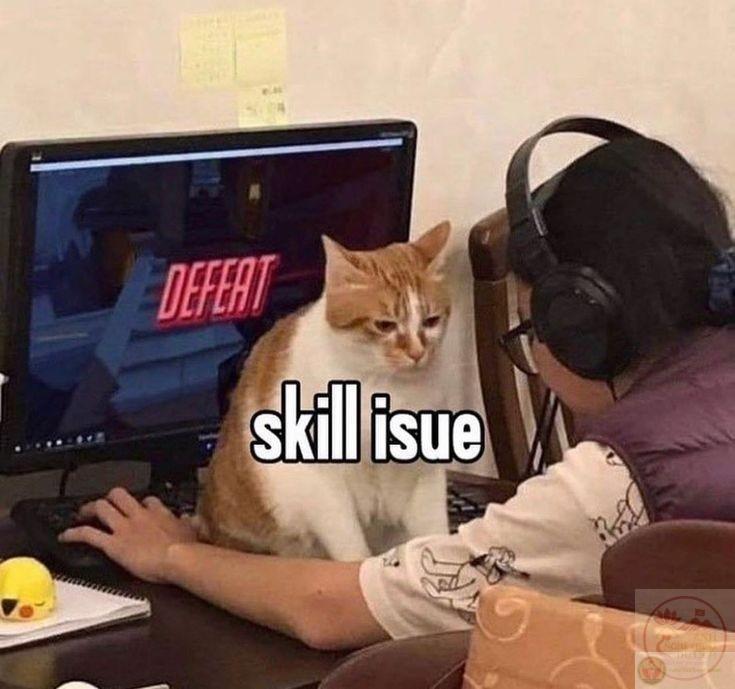 skill issue meme