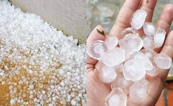 Bài 11. Thực hành đọc bản đồ các đới và kiểu khí hậu trên Trái Đất, phân tích biểu đồ một số kiểu khí hậu SGK Địa lí 10 Chân trời sáng tạo</>