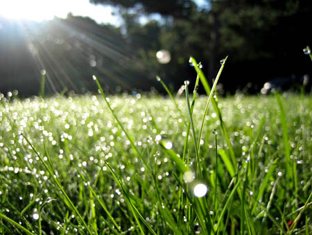 Bài 11. Thực hành đọc bản đồ các đới và kiểu khí hậu trên Trái Đất, phân tích biểu đồ một số kiểu khí hậu SGK Địa lí 10 Chân trời sáng tạo