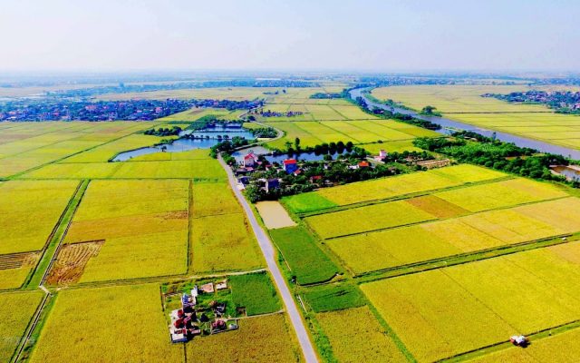 Vào mùa mưa bão ở khu vực đồng bằng nước ta thường xảy ra ra hiện tượng gì?