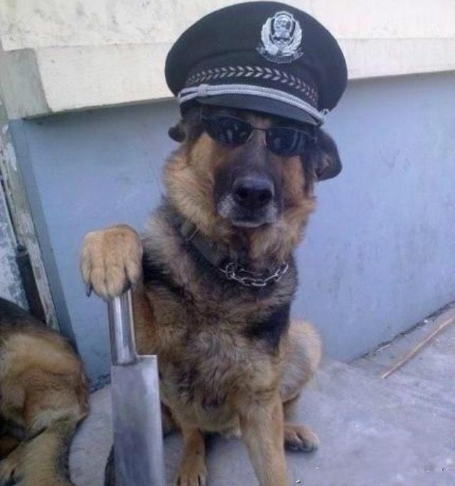 Không ai thoát khỏi ánh nhìn của tụi tui