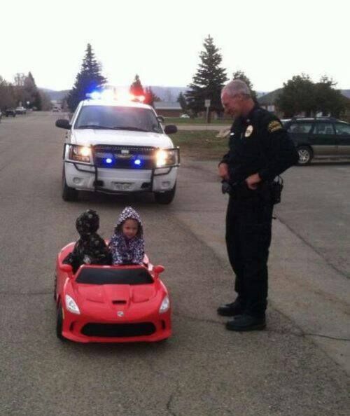 Lần đầu thấy FBI gõ cửa chỉ vì xem ảnh mèo