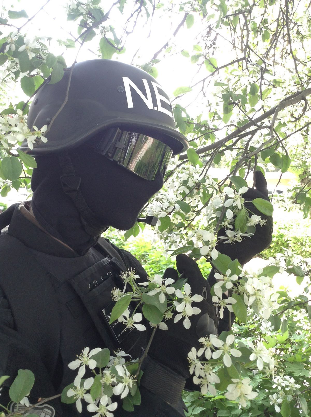 Mỗi ảnh chế là một hồ sơ mật