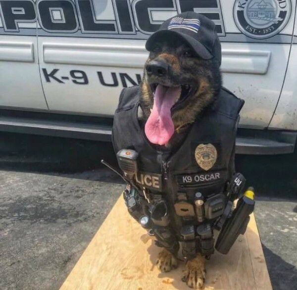 Mở mail spam một lần, FBI hỏi