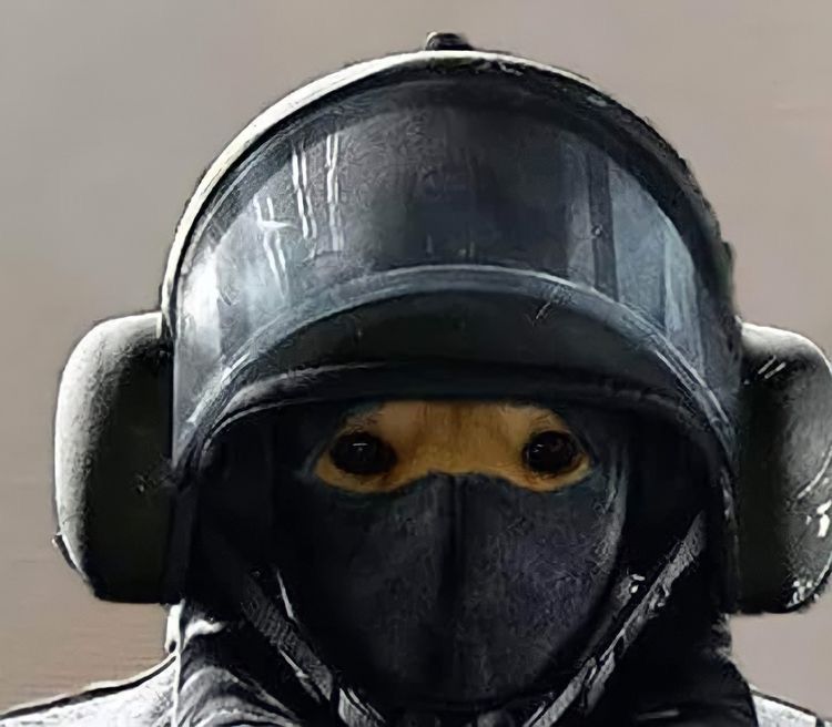 Chơi vui thôi mà có cần truy vết gắt vậy không