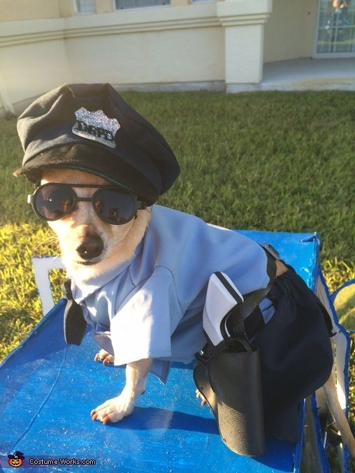 Tưởng lướt mạng yên ổn, ai ngờ đâu