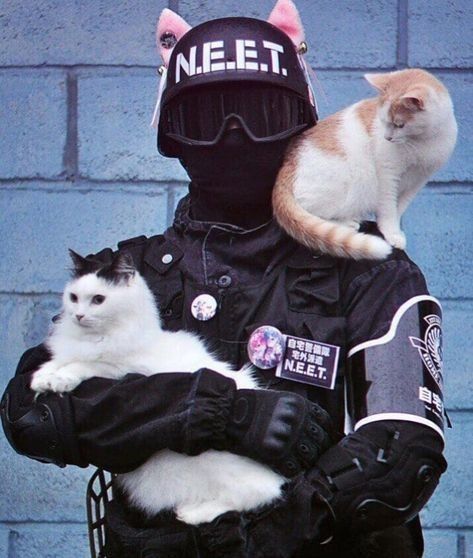 Cứ tưởng vui thôi ai ngờ gõ cửa thật