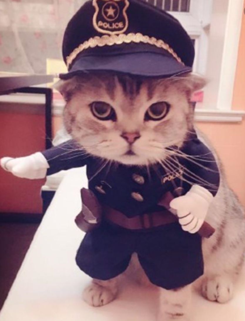 Đừng lo, FBI chỉ đang quan tâm bạn thôi