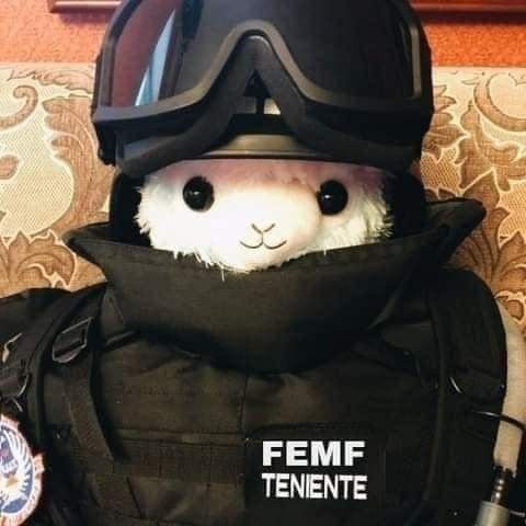 Đừng search linh tinh nếu chưa sẵn sàng gặp FBI