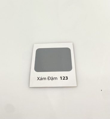 SƠN DẦU BẠCH TUYẾT MÀU XÁM ĐẬM 123  3KG