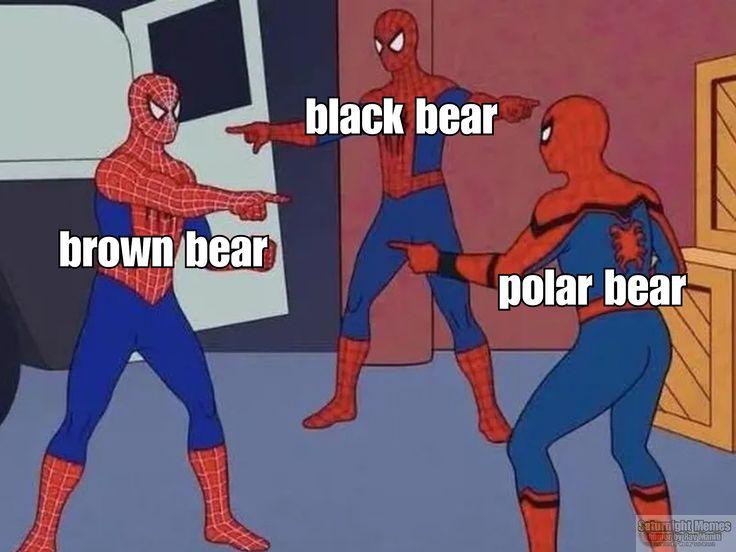 Ba người, một hành động, vô vàn cách hiểu khác nhau