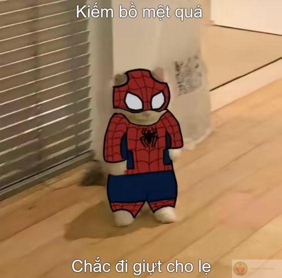 Giả vờ chill nhưng trong lòng đang hoảng loạn