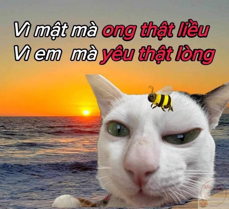 Một bức ảnh chế ngọt ngào thay cho lời thương em thật nhiều không thể nói hết