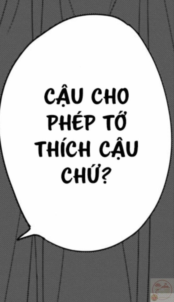 Ảnh meme yêu