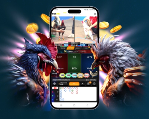 Bj66 – Nhà Cái Uy Tín Top 1 Châu Á | Đá Gà Trực Tiếp & Casino Trực Tuyến