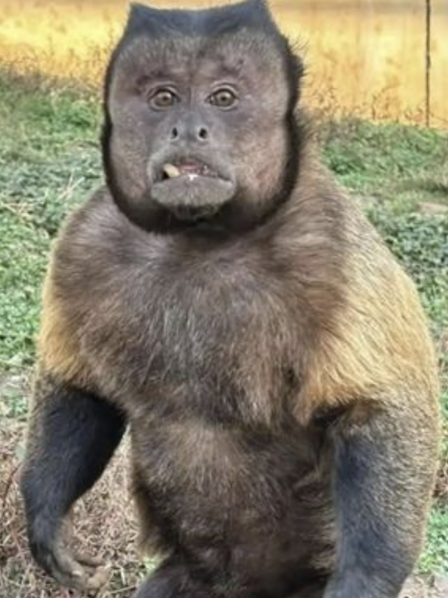 Trung Quoc anh 1