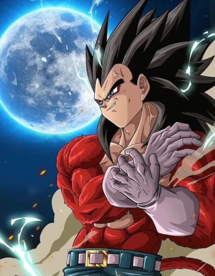 ảnh Vegeta mang vẻ ngoài kiên cường và bền bỉ